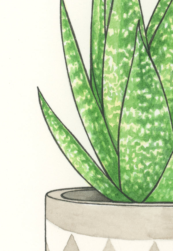 Aloe Vera Print
