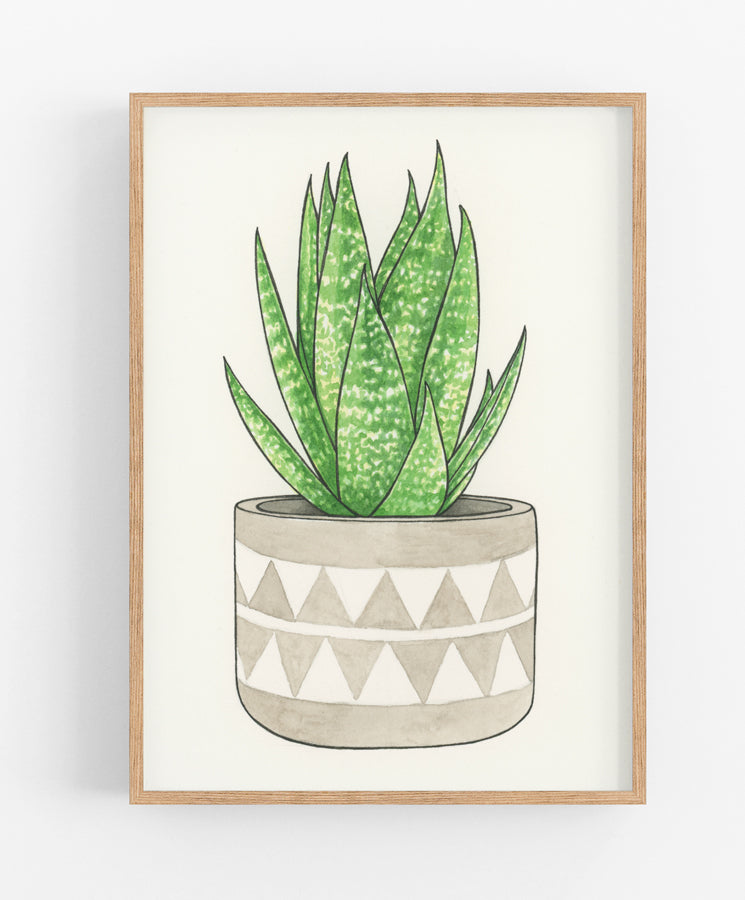 aloe vera plant quotes Aloe Vera Print – hey hon