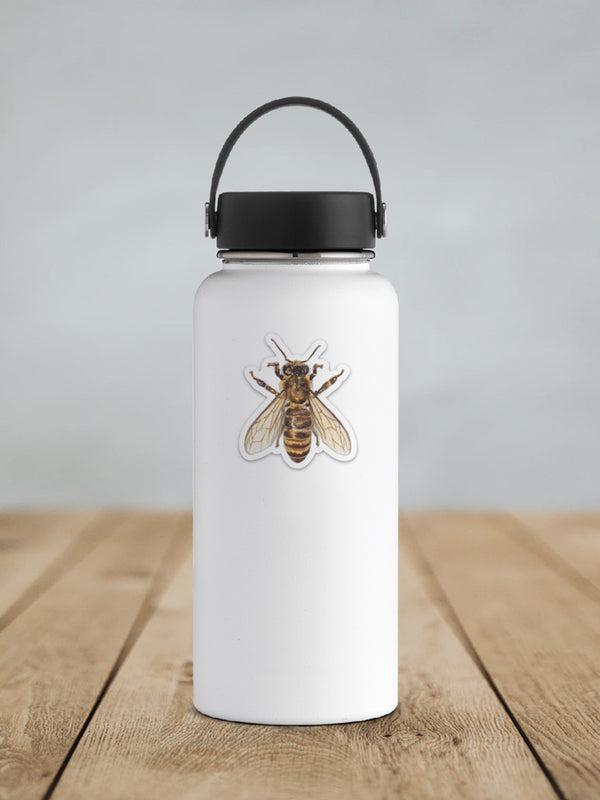 Honey Bee Sticker