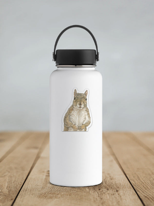 Squirrel Sticker