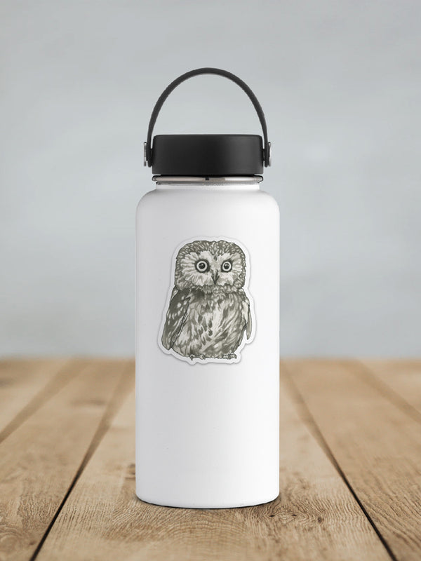 Owl Sticker