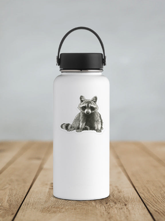 Raccoon Sticker