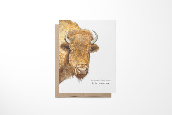 Buffalo Greeting Card