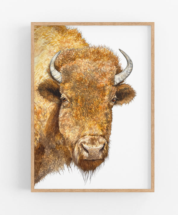 Buffalo Print