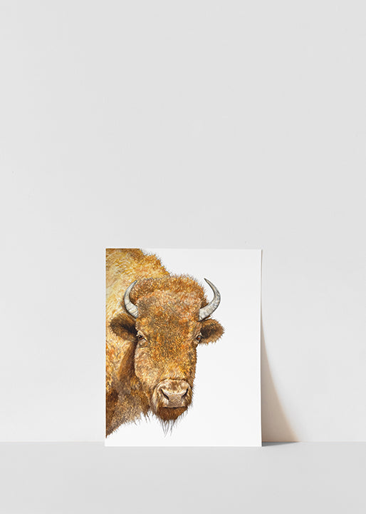 Buffalo Print