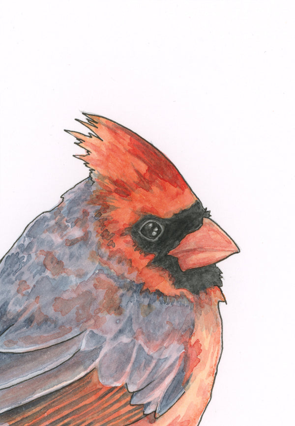 Visiting Cardinal Print