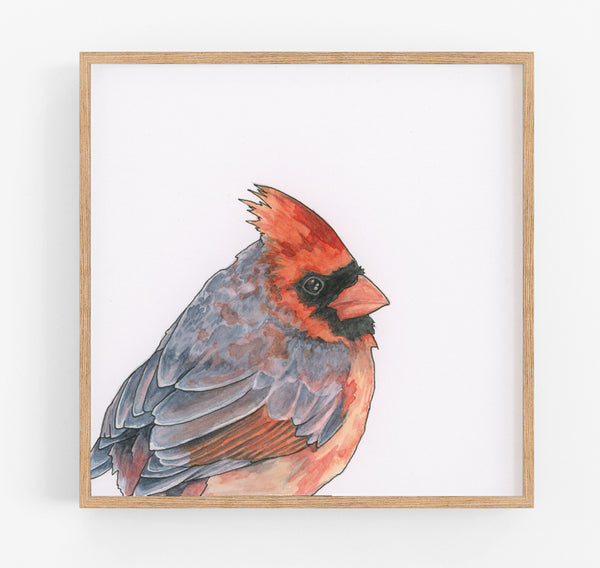 Visiting Cardinal Print