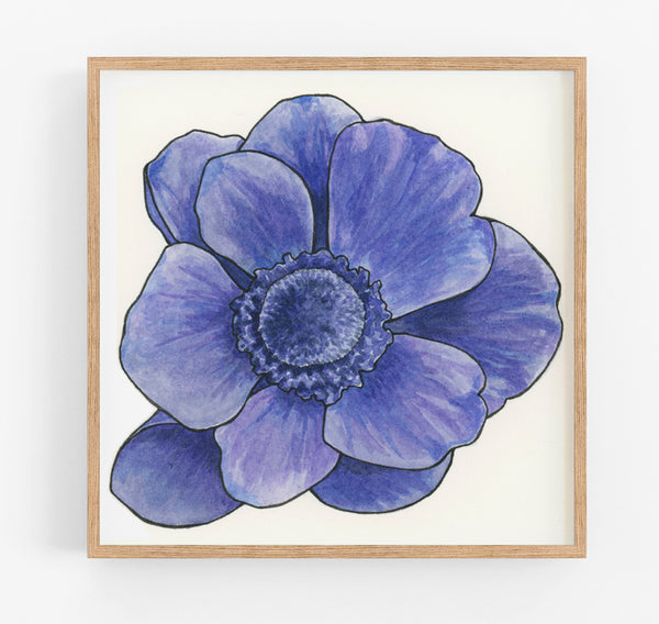 Anemone Print