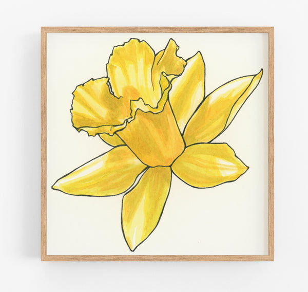 Daffodil Print