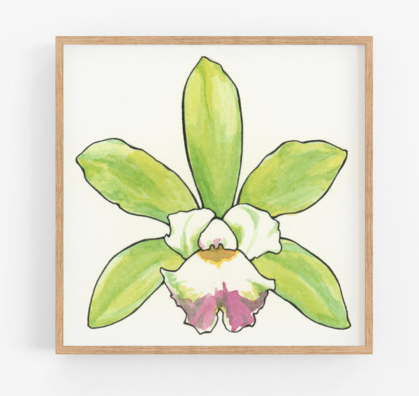 Heart Orchid Print
