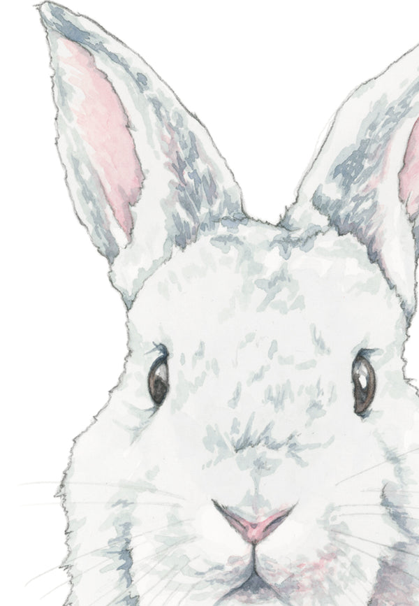Curious Bunny Print