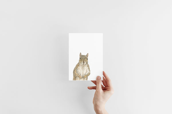 Curious Squirrel Print