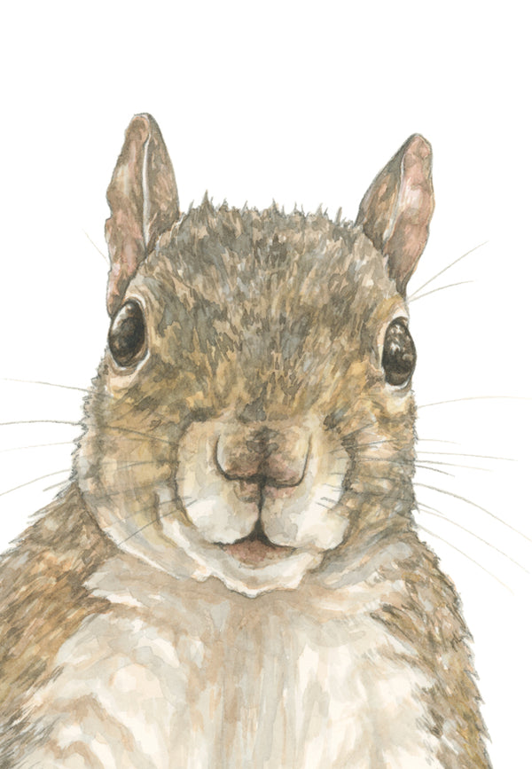 Curious Squirrel Print