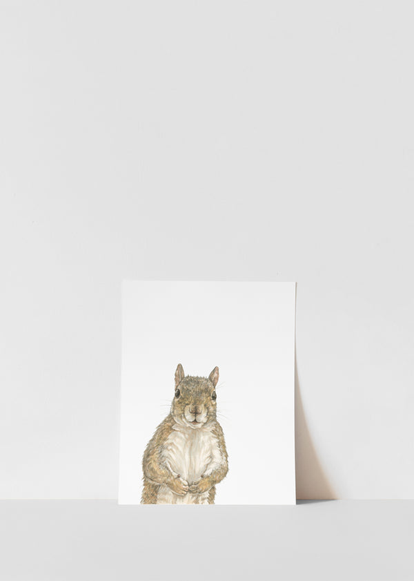 Curious Squirrel Print