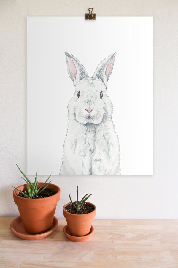 Curious Bunny Print