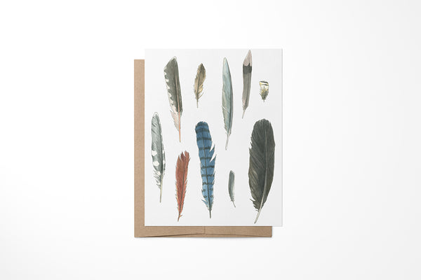 Feathers Greeting Card