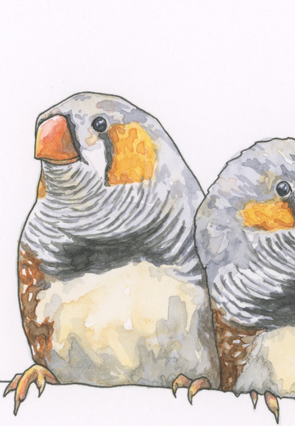 Finch Couple Print