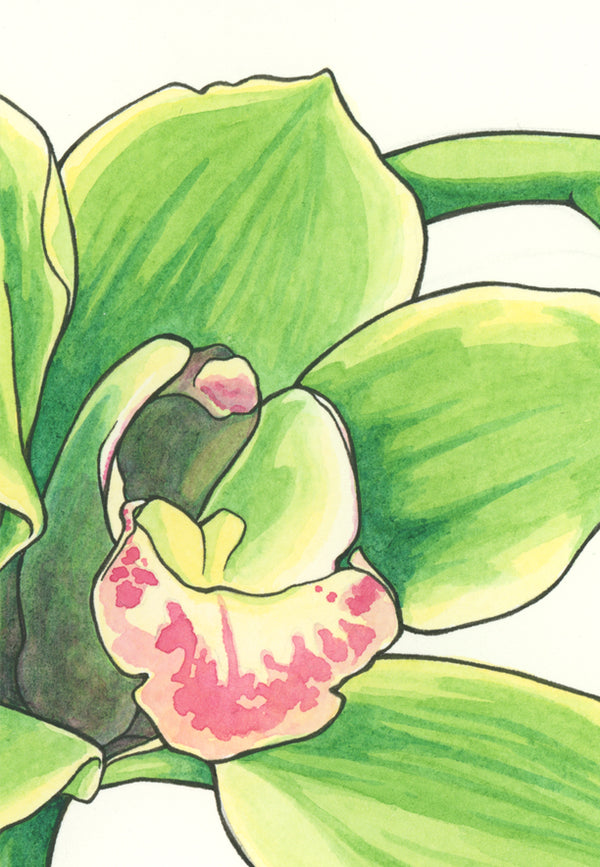 Green Orchid Print