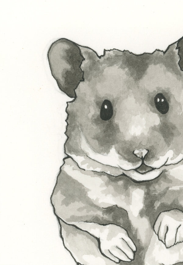 Hamster Print