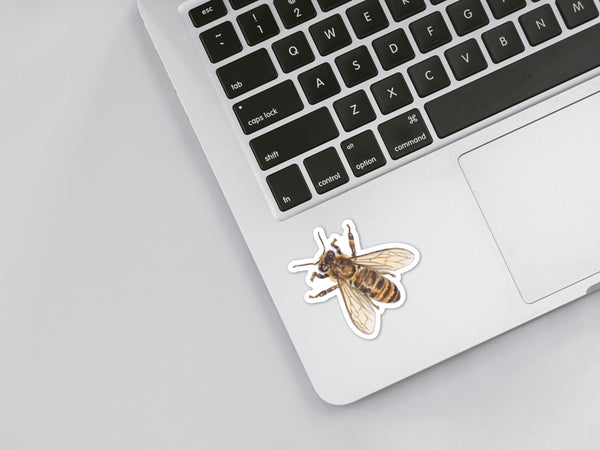 Honey Bee Sticker