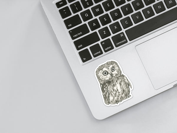 Owl Sticker