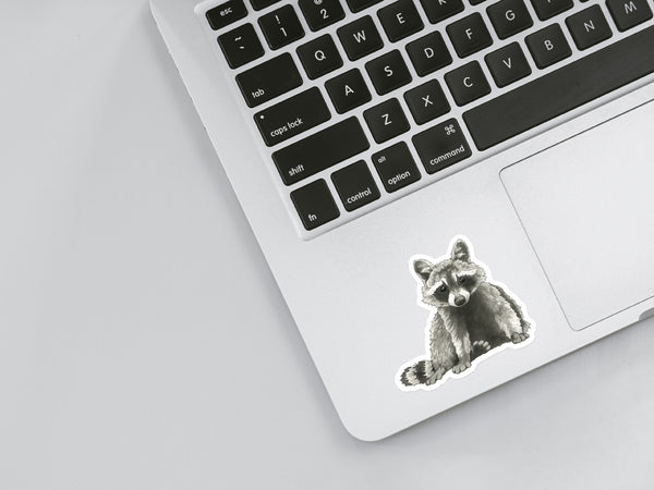 Raccoon Sticker