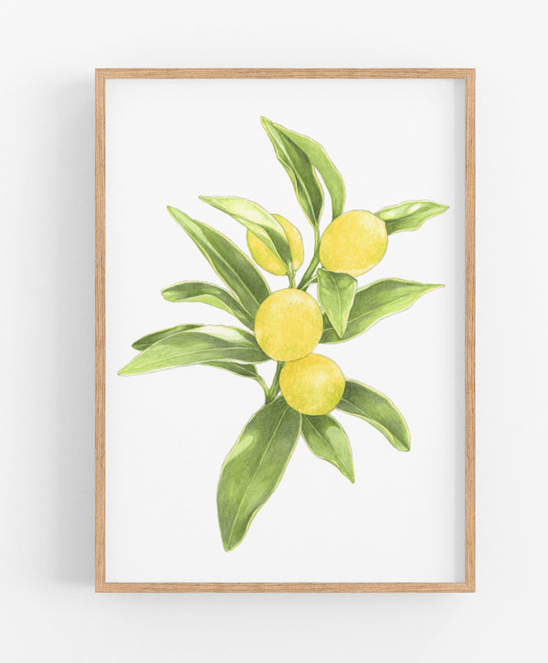 Lemon Branch Print