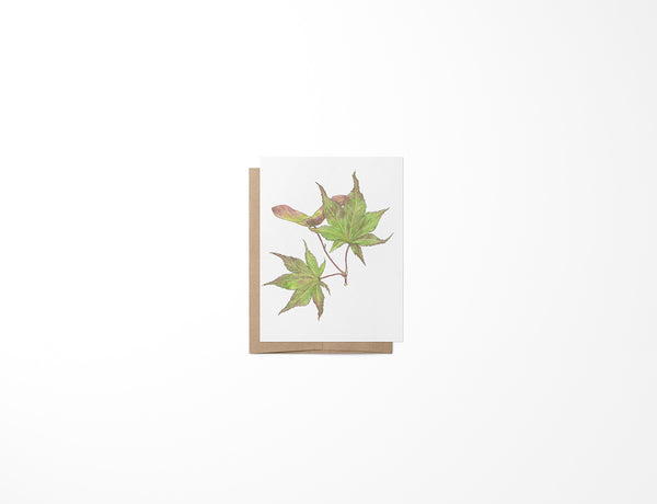 Leaves and Seeds Mini Card