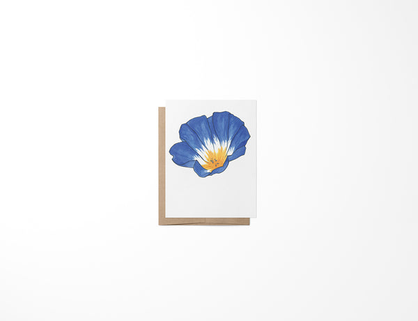 Morning Glory Mini Card