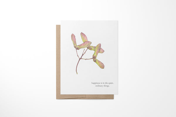 Maple Seeds Greeting Card