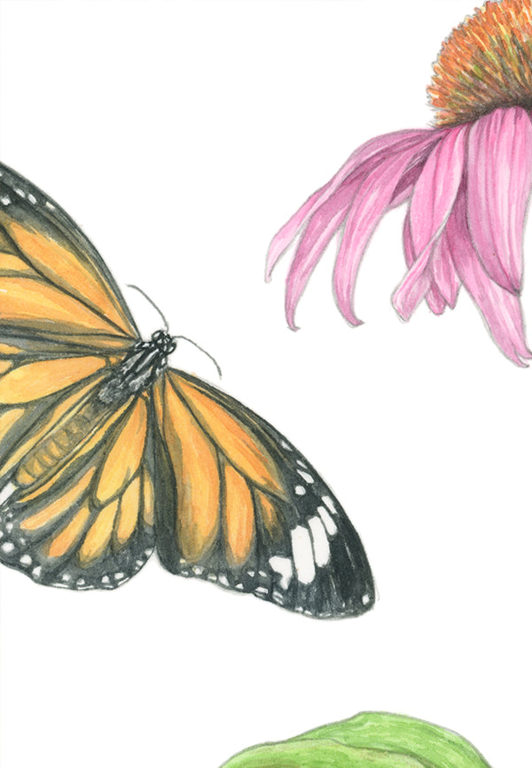 Monarch Botanical Print
