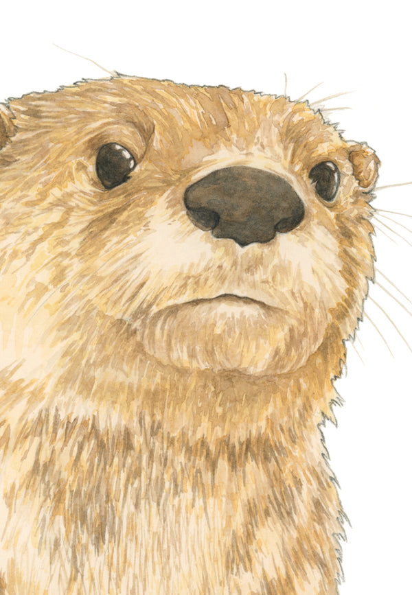 Curious Otter Print