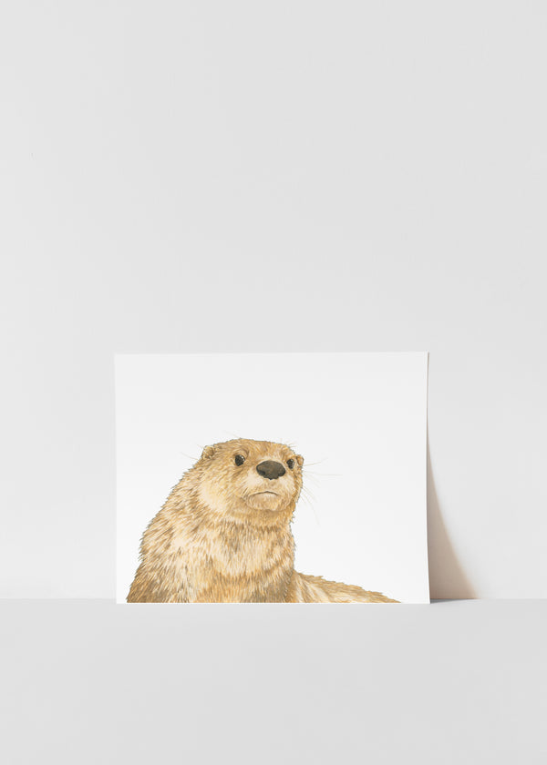 Curious Otter Print