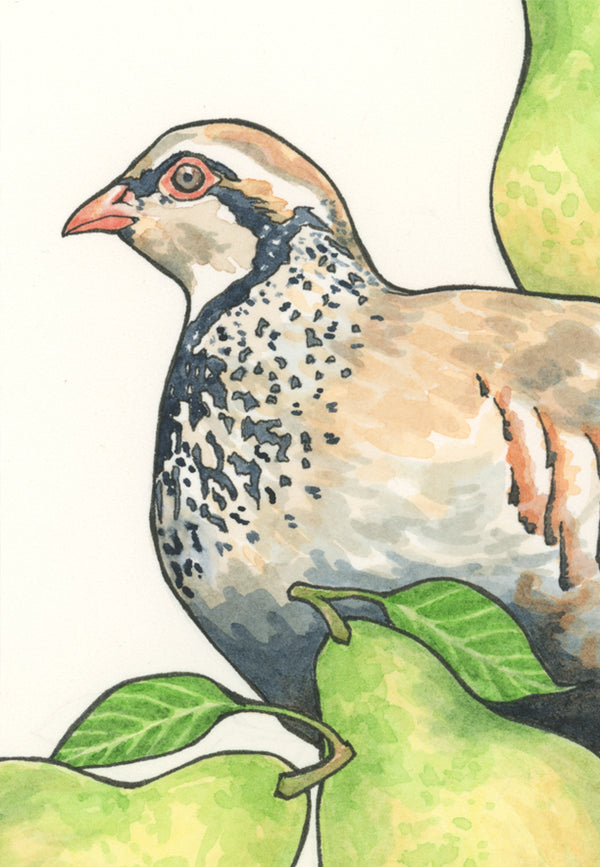 Partridge Wreath Print