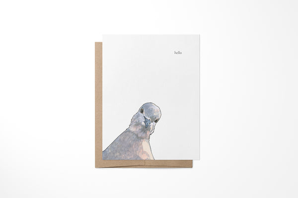 Pigeon Greeting Card