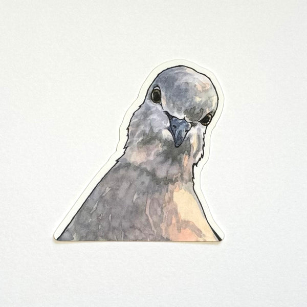 Pigeon Sticker