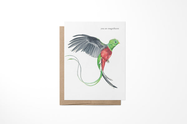 Quetzal Bird Greeting Card