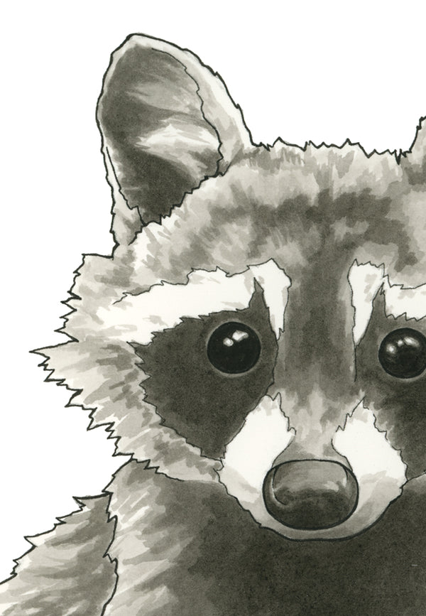 Raccoon Print