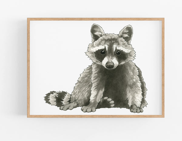 Raccoon Print