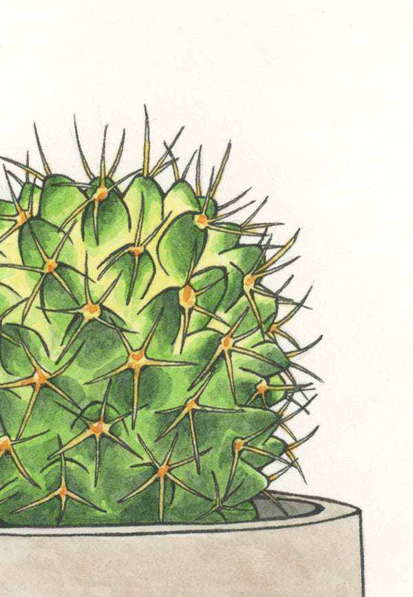 Round Cactus Print