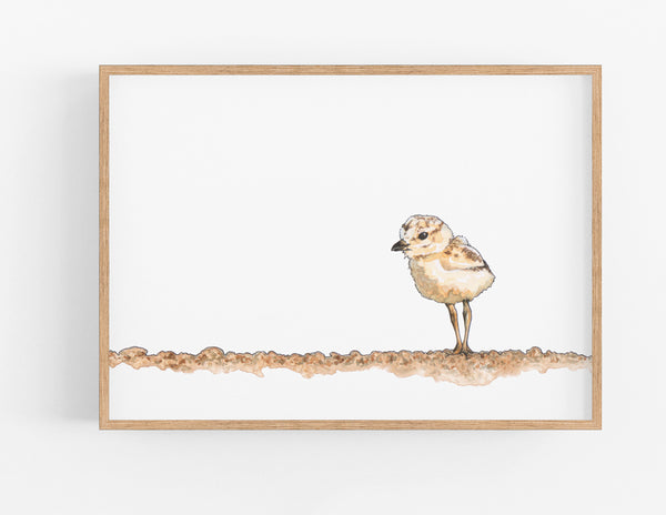 Sandpiper Print