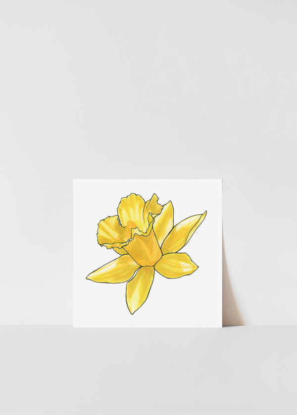 Daffodil Print