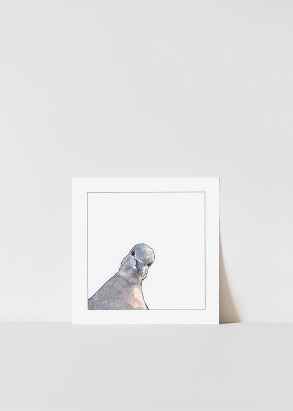 Curious Pigeon Print