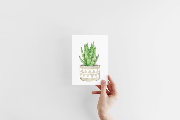 Aloe Vera Print