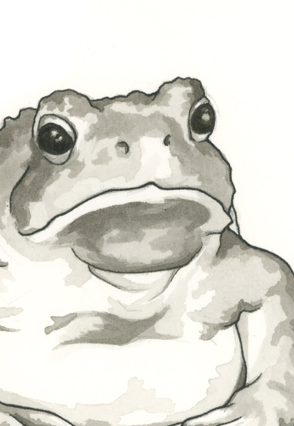 Toad Print