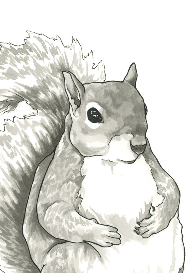 Earl the Squirrel Print