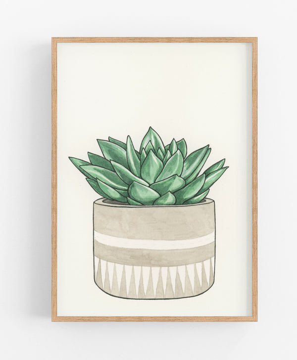 Succulent Print