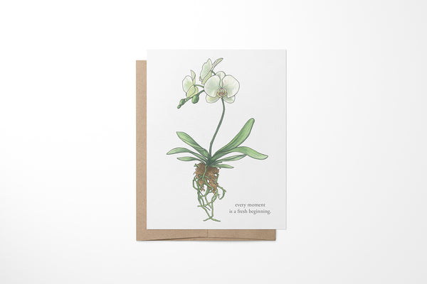 White Orchid Greeting Card