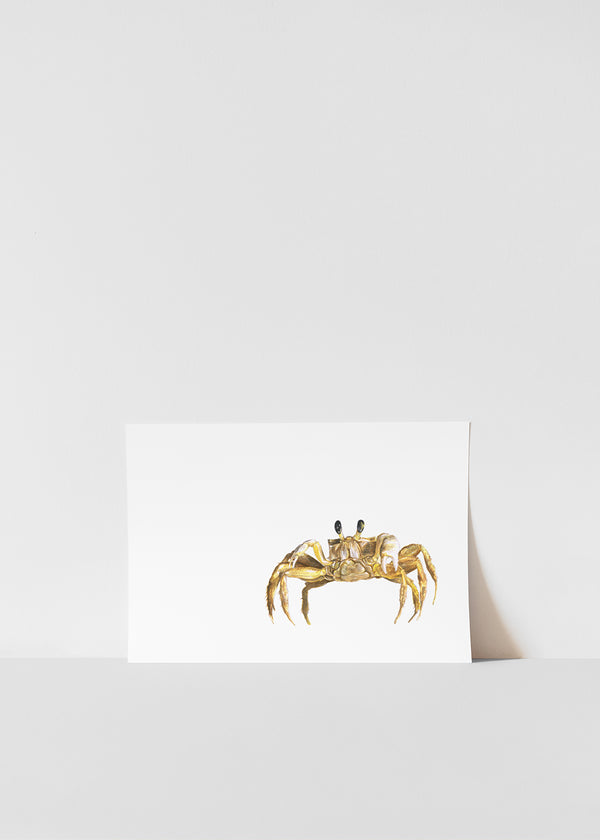 Crab Print
