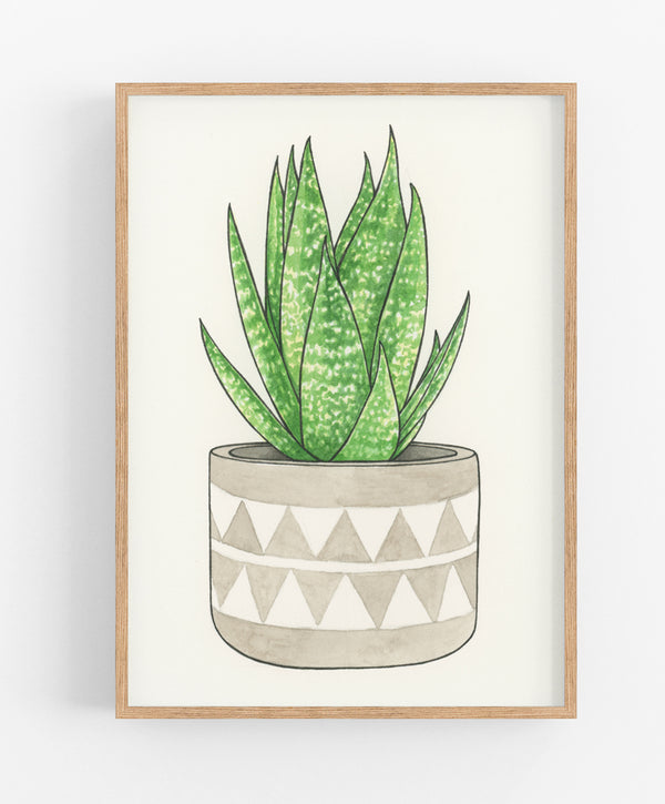 Aloe Vera Print